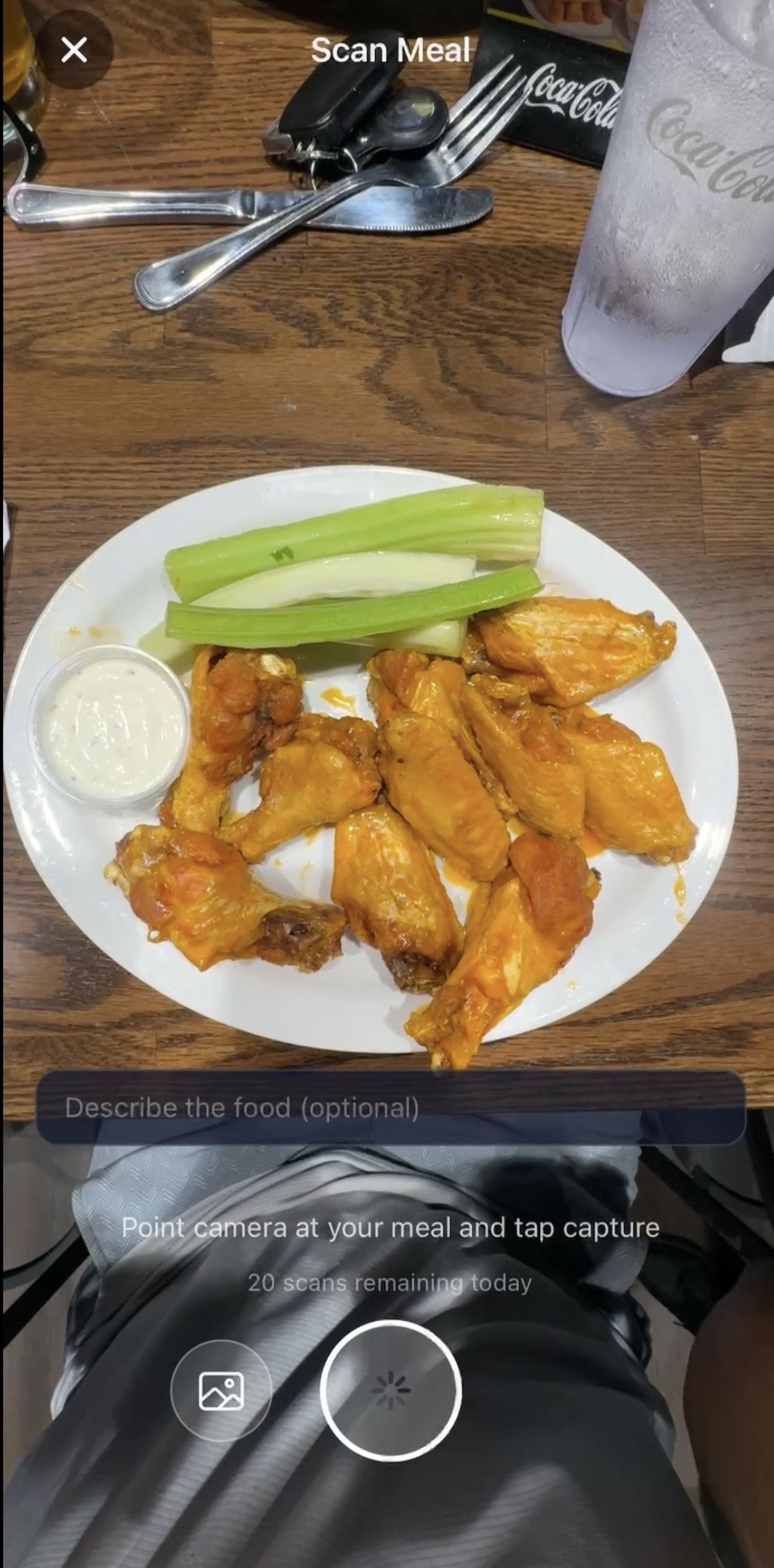 BodyLens Scan Meal camera view pointed at a plate of food
